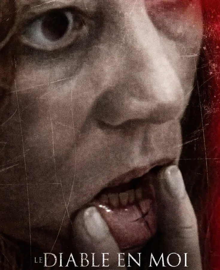 Affiche du film le diable en moi
